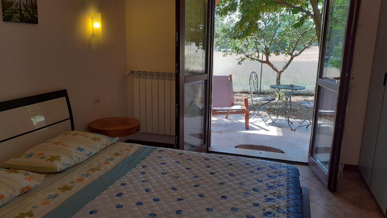 B&B Il Pizzagiallo Massa Martana Εξωτερικό φωτογραφία