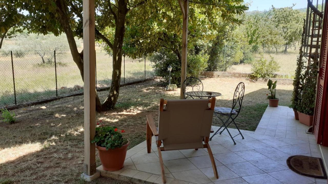 B&B Il Pizzagiallo Massa Martana Εξωτερικό φωτογραφία