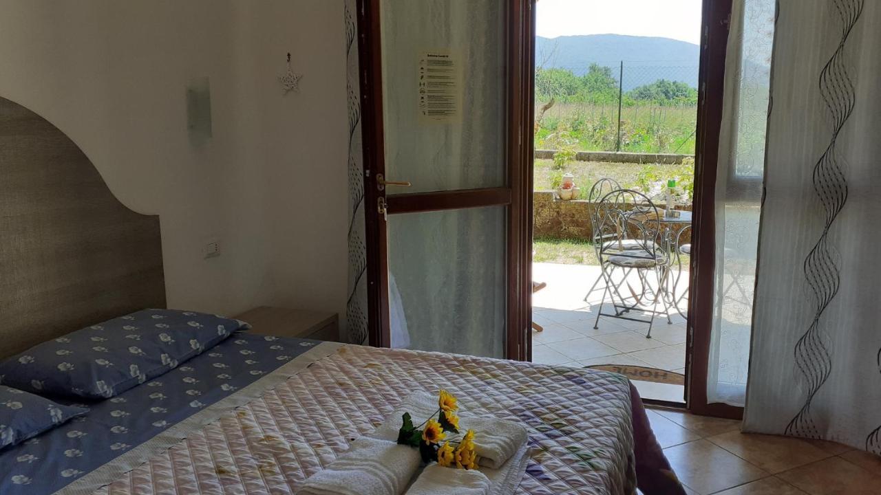 B&B Il Pizzagiallo Massa Martana Εξωτερικό φωτογραφία