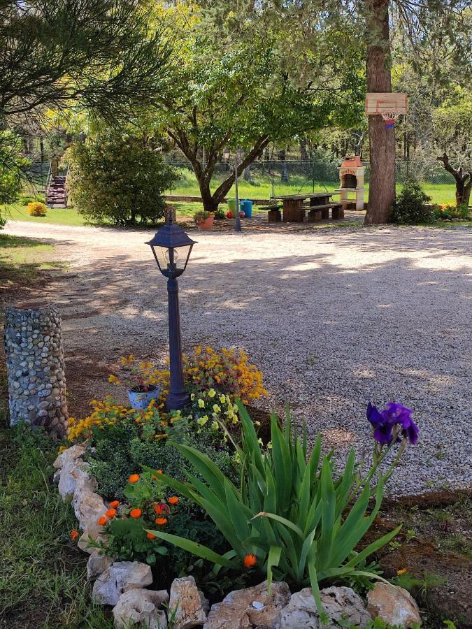 B&B Il Pizzagiallo Massa Martana Εξωτερικό φωτογραφία