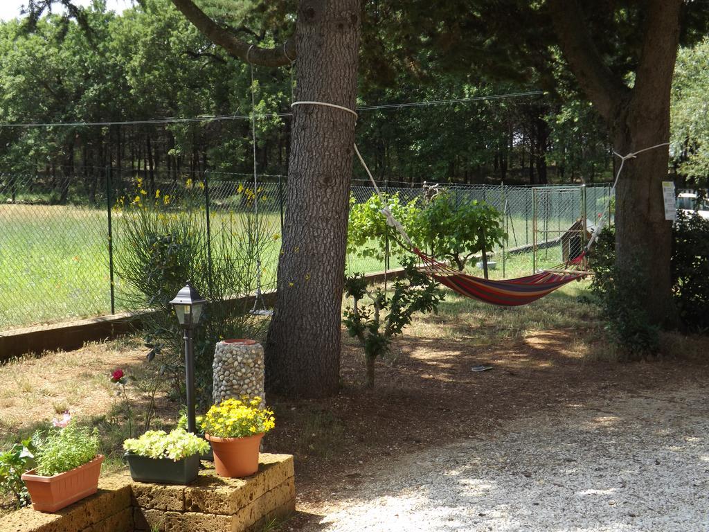 B&B Il Pizzagiallo Massa Martana Εξωτερικό φωτογραφία