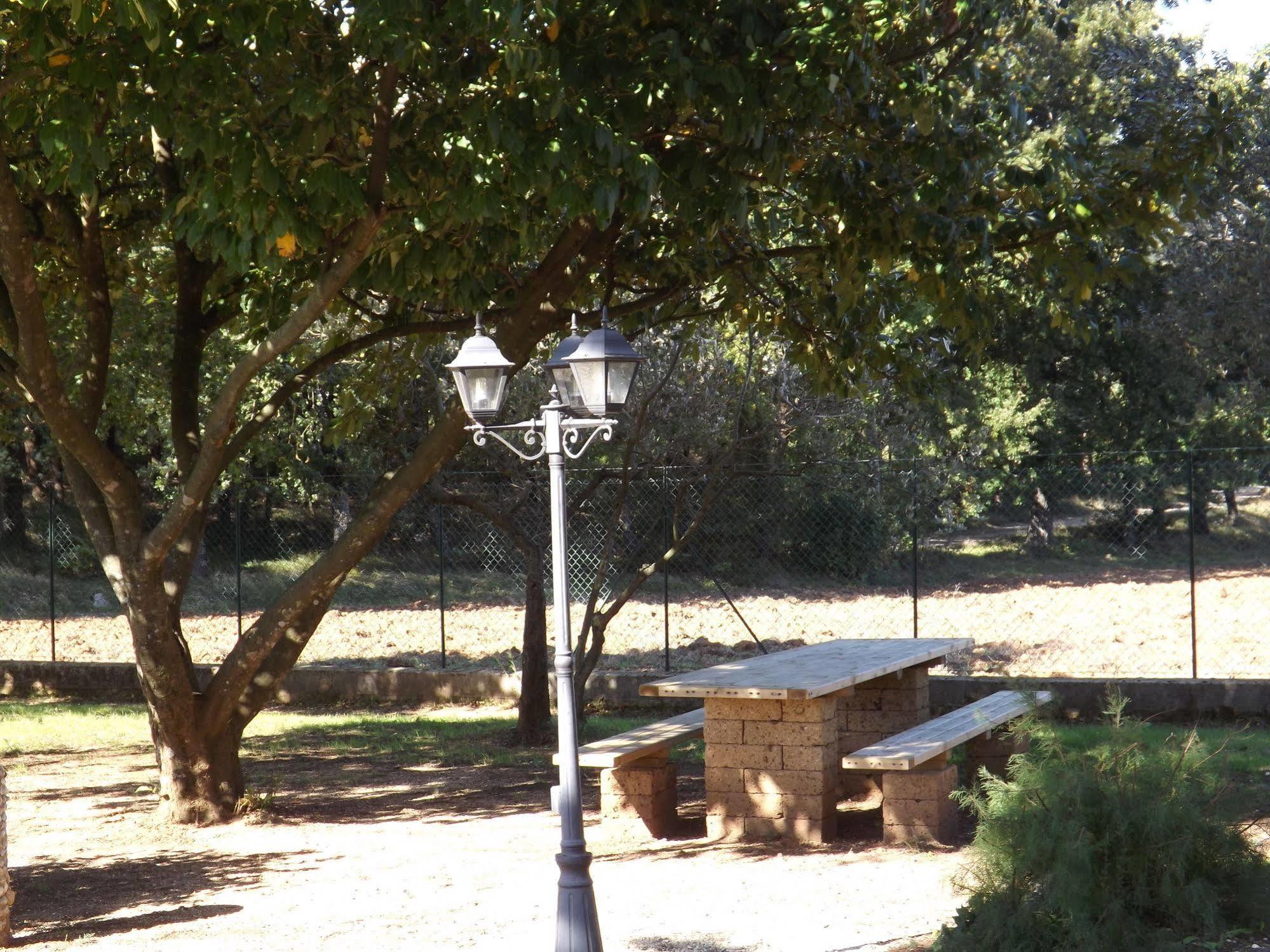 B&B Il Pizzagiallo Massa Martana Εξωτερικό φωτογραφία