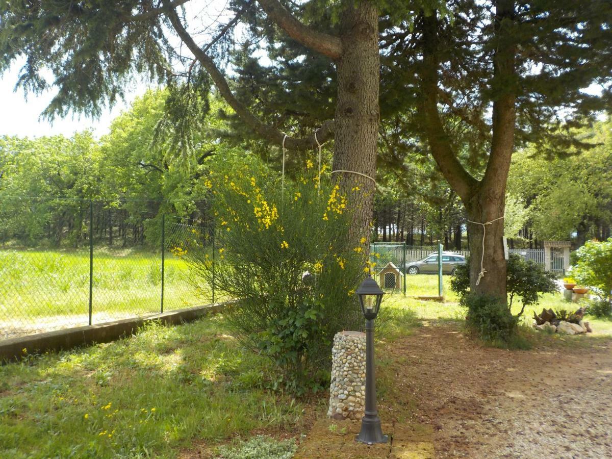 B&B Il Pizzagiallo Massa Martana Εξωτερικό φωτογραφία